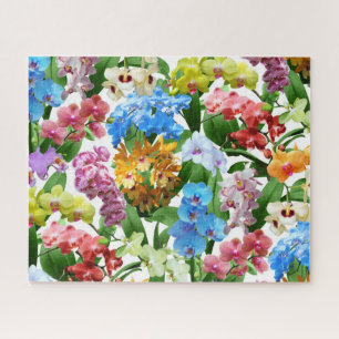 Tropische Blumenorchideen