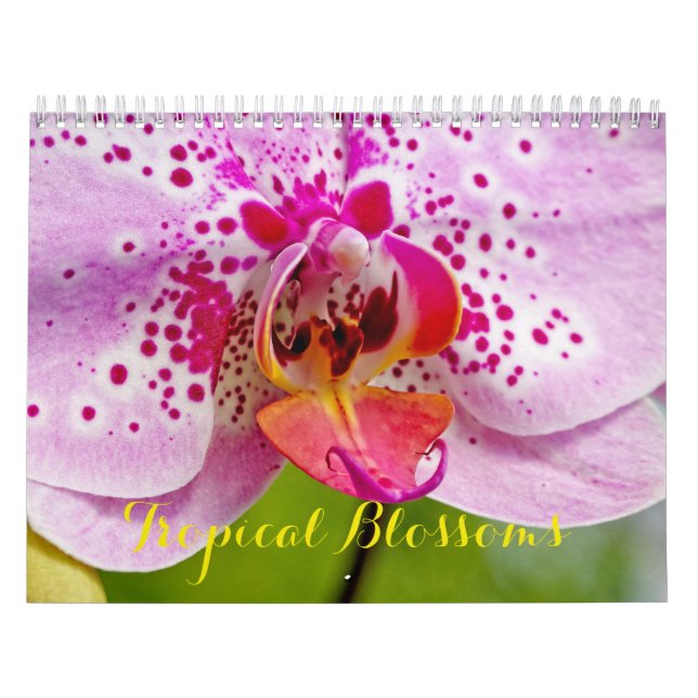Tropische Blüten Kalender (Titelbild)