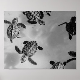 Tropische, druckbare Kunst der Schwarzen und Weiße Poster