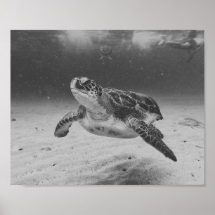 Tropische, druckbare Kunst der Schwarzen und Weiße Poster
