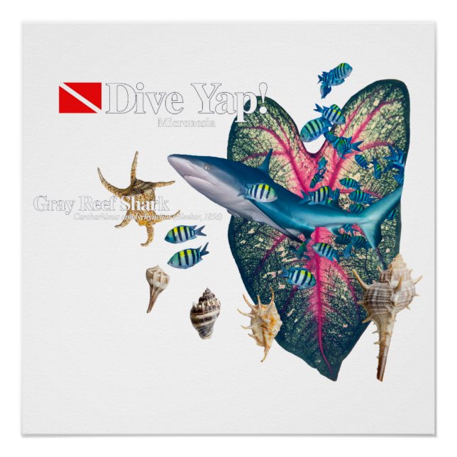 Tropische Einladung Poster (Vorderseite)