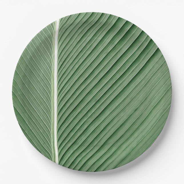 Tropische Eleganz - Coconut-Leaf-Designpapierplatt Pappteller (Vorderseite)