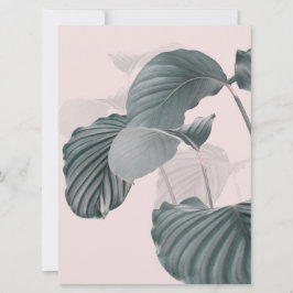 Tropische Eleganz in Pastel