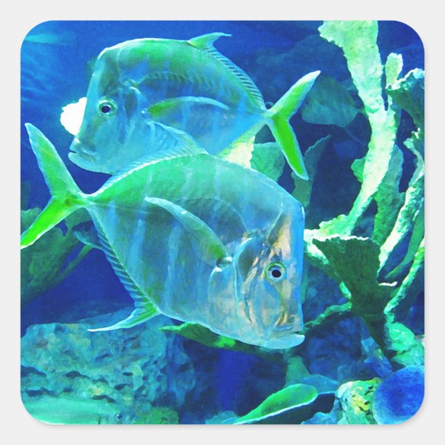 Tropische Fische, blau und grün Quadratischer Aufkleber (Vorderseite)