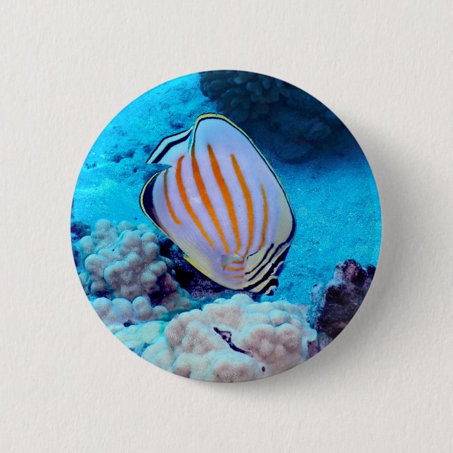 Tropische Fische Button (Vorderseite)