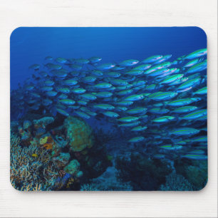 Tropische Fische des Korallenmeers Mousepad