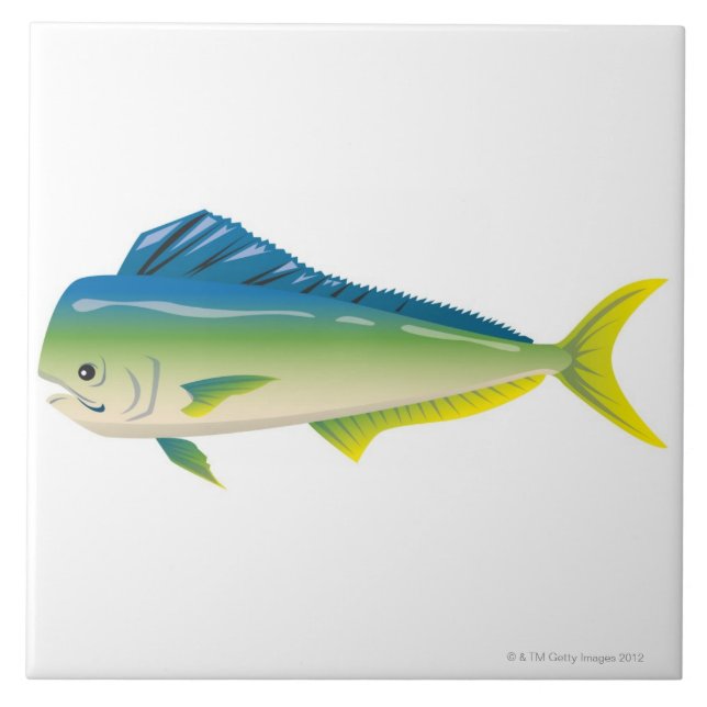 Tropische Fische Fliese (Vorderseite)