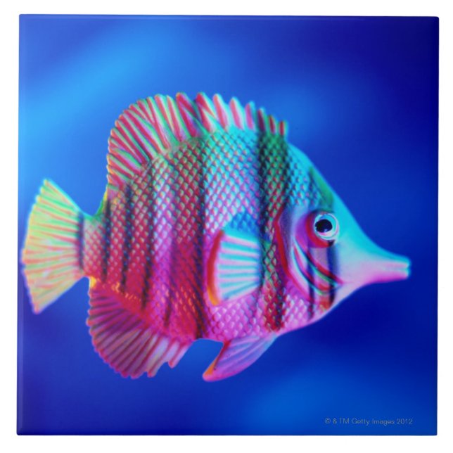 Tropische Fische Fliese (Vorderseite)