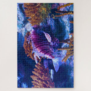 Tropische Fische in einem Aquarium.