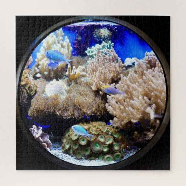 Tropische Fische und Korallen des Aquariums (Vertikal)