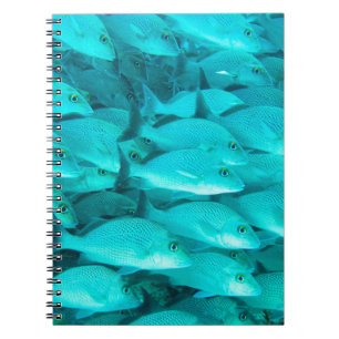 Tropische Fische und Korallenriff im Meer Notizblock