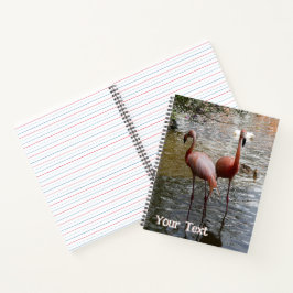 Tropische Flamingo-Vogelkruste. Textheft Notizbuch