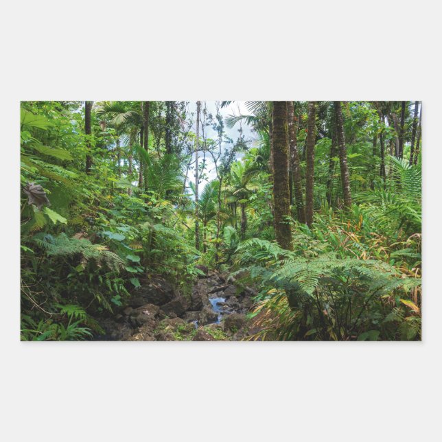 Tropische Flora des belebten Regenwaldes Rechteckiger Aufkleber (Vorderseite)