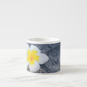 Tropische Frangipani-Botanik-Foto Espressotasse