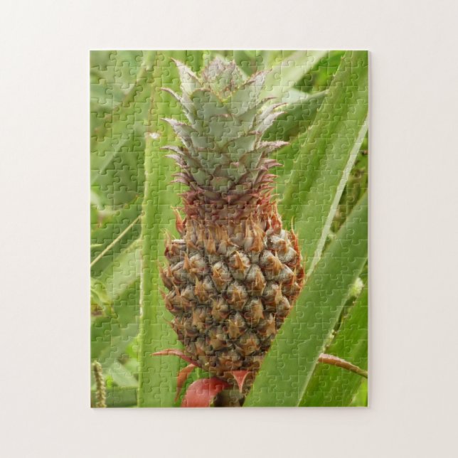 Tropische Früchte der Ananas in der Natur (Vertikal)