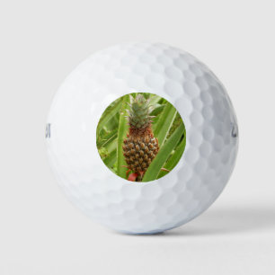 Tropische Früchte der Ananas in der Natur Golfball