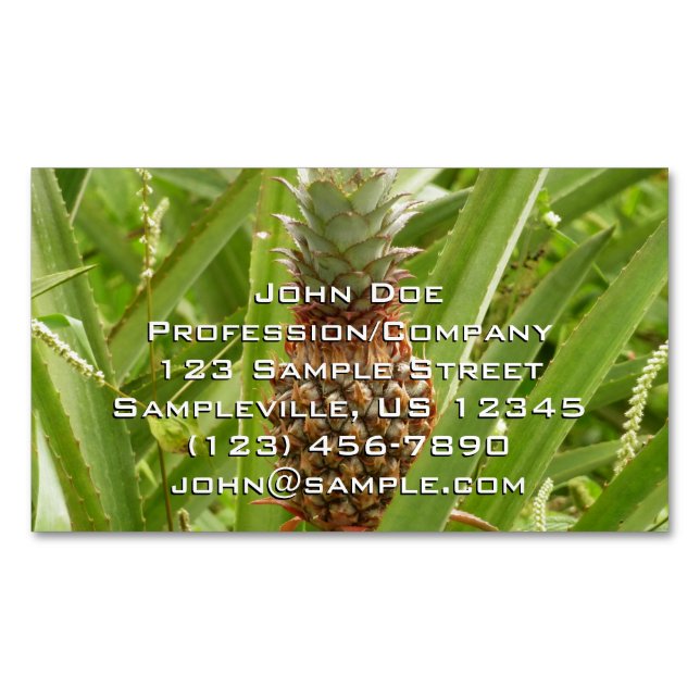 Tropische Früchte der Ananas in der Natur Magnetische Visitenkarte (Vorderseite)