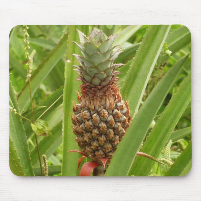 Tropische Früchte der Ananas in der Natur Mousepad (Vorne)