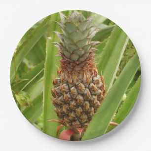 Tropische Früchte der Ananas in der Natur Pappteller