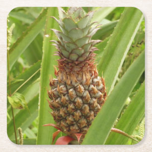 Tropische Früchte der Ananas in der Natur Rechteckiger Pappuntersetzer