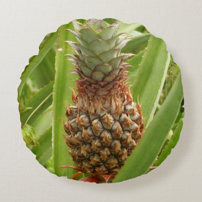 Tropische Früchte der Ananas in der Natur Rundes Kissen (Vorderseite)