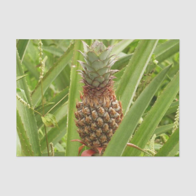 Tropische Früchte der Ananas in der Natur Seidenpapier (Vorderseite)