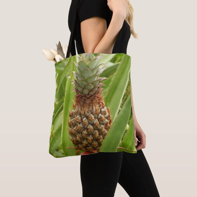 Tropische Früchte der Ananas in der Natur Tasche (Von Nahem)