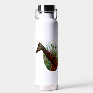"Tropische Grace: Giraffe Popout Art mit Hibiskus Trinkflasche