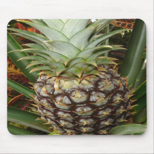 Tropische Hinterhof-Ananas Mousepad