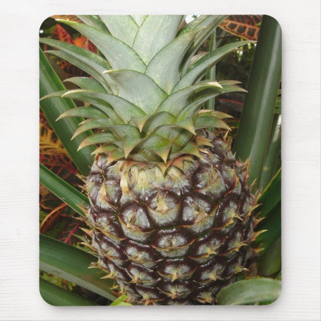 Tropische Hinterhof-Ananas Mousepad (Vorne)