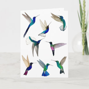 Tropische Hummingbirds-Karte Karte