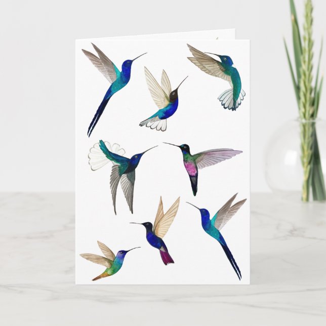 Tropische Hummingbirds-Karte Karte (Vorderseite)