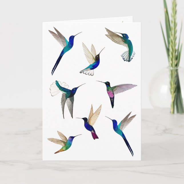 Tropische Hummingbirds-Karte Karte (Vorderseite)