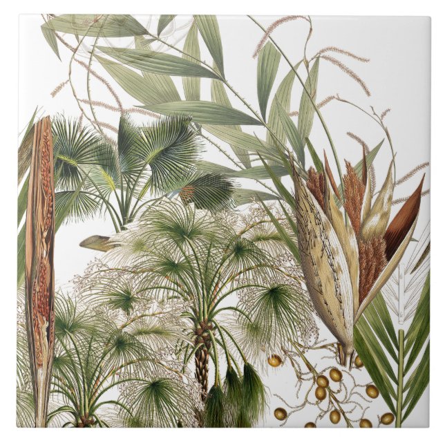 Tropische Insel-Palme-Wedel-Keramik-Fliese Fliese (Vorderseite)