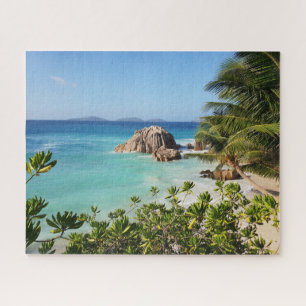 Tropische Insel Strand Felsen Palmen