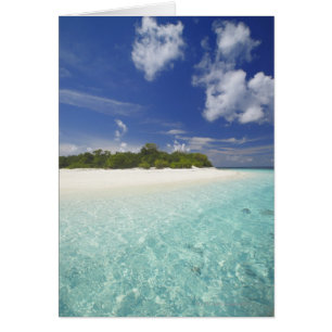 Tropische Insel umgeben von Lagune, Malediven,