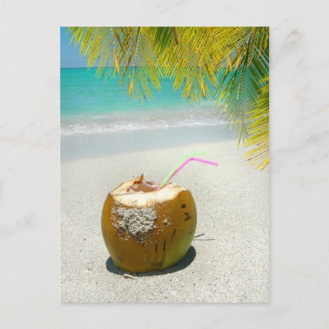 Tropische Kokosnuss am Strand der Karibik Postkarte (Vorderseite)