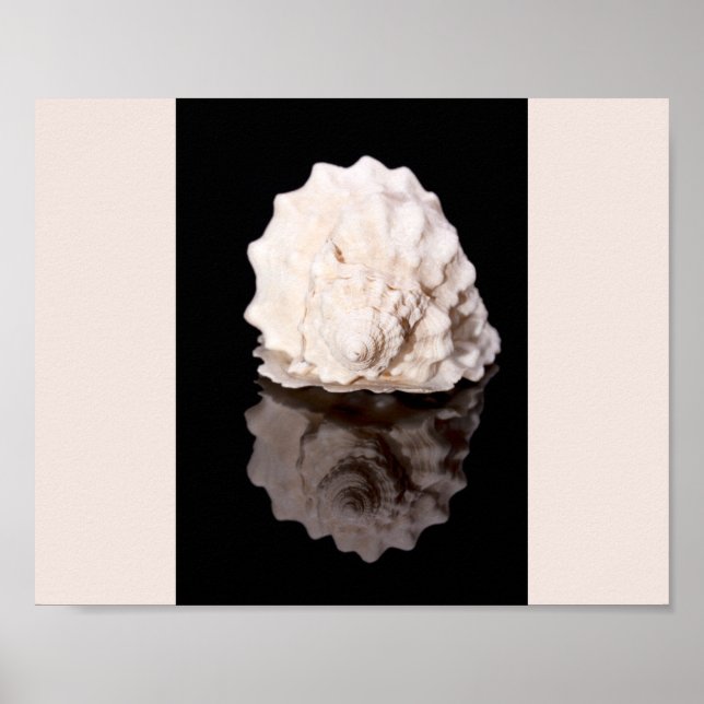 Tropische Kunst in Schwarz und Weiß Poster (Vorne)