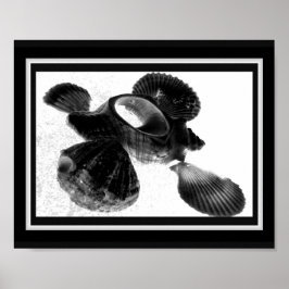 Tropische Kunst in Schwarz und Weiß Poster