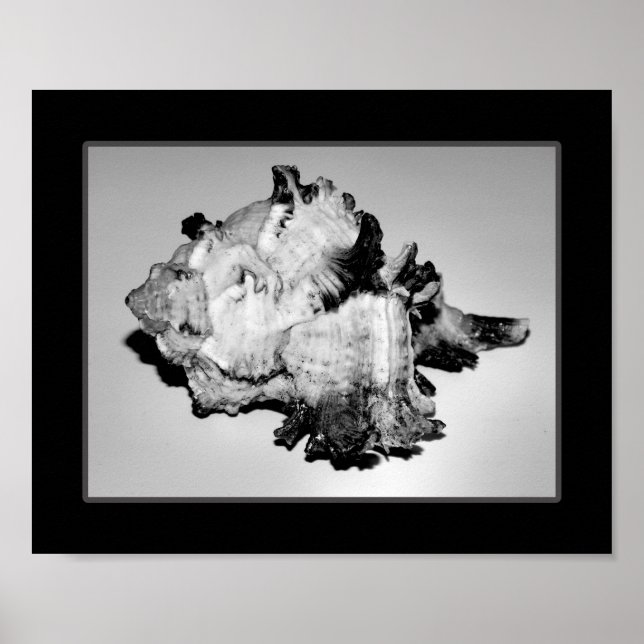 Tropische Kunst in Schwarz und Weiß Poster (Vorne)