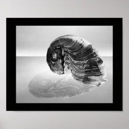 Tropische Kunst in Schwarz und Weiß Poster