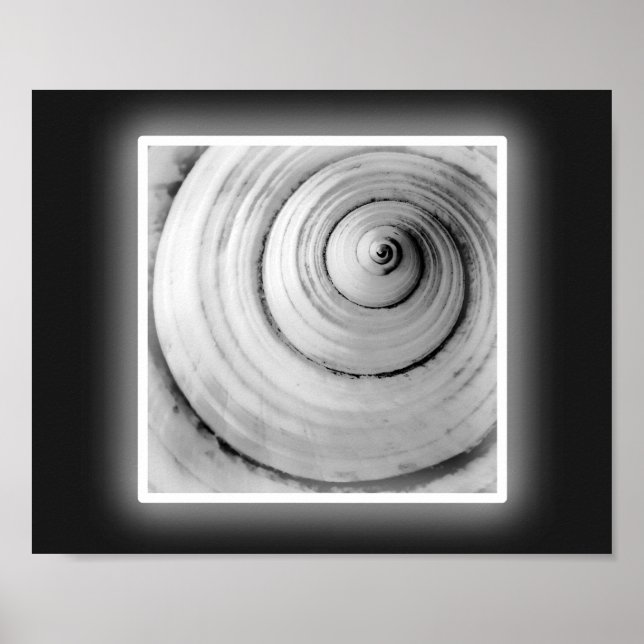 Tropische Kunst in Schwarz und Weiß Poster (Vorne)