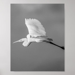 Tropische Kunst in Schwarz und Weiß Poster