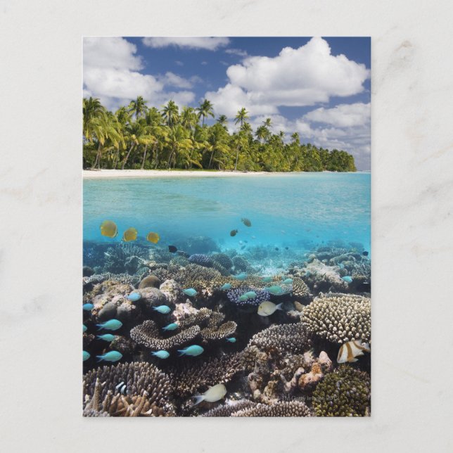 Tropische Lagune im Süd-Ari-Atoll Postkarte (Vorderseite)