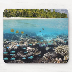 Tropische Lagune in SüdAri Atoll in Mousepad
