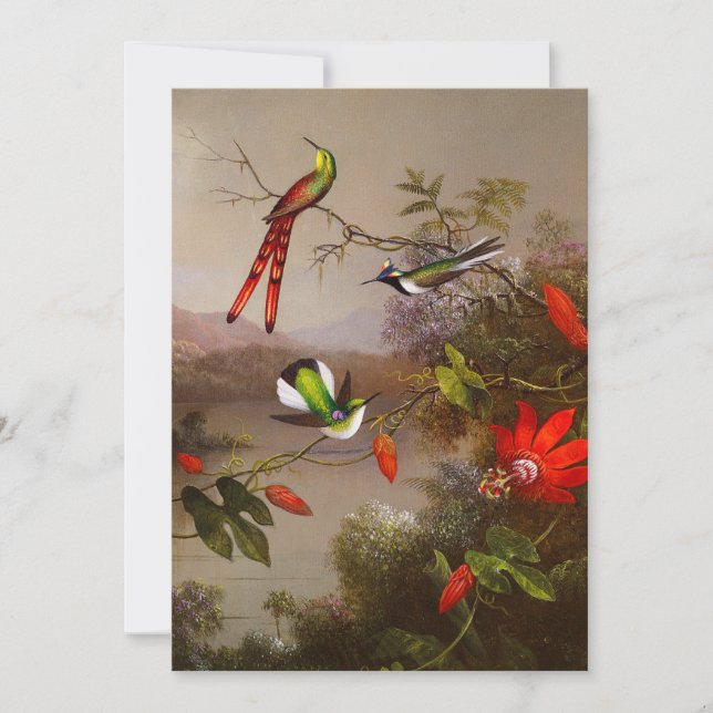 Tropische Landschaft mit zehn Hummingbirds Heade Einladung (Vorderseite)