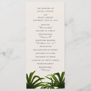 Tropische Liebe / Programm