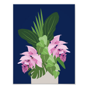 Tropische Medinilla Pink-Blume auf Dunkelblau Fotodruck
