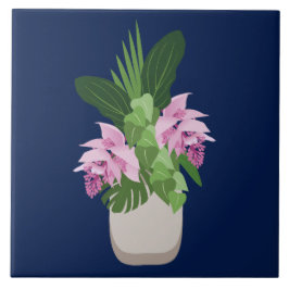 Tropische Medinilla Pink Blume Vase auf Dunkelblau Fliese