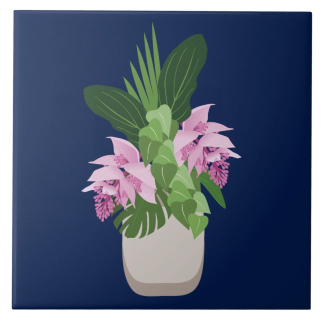 Tropische Medinilla Pink Blume Vase auf Dunkelblau Fliese (Vorderseite)